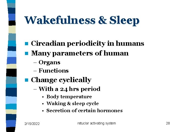 Wakefulness & Sleep Circadian periodicity in humans n Many parameters of human n –