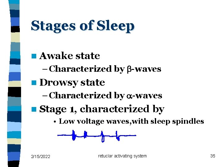 Stages of Sleep n Awake state – Characterized by -waves n Drowsy state –