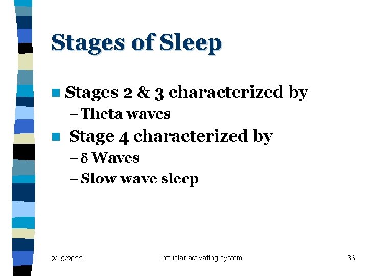 Stages of Sleep n Stages 2 & 3 characterized by – Theta waves n