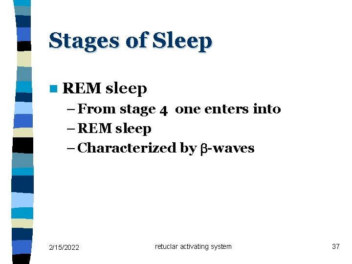 Stages of Sleep n REM sleep – From stage 4 one enters into –