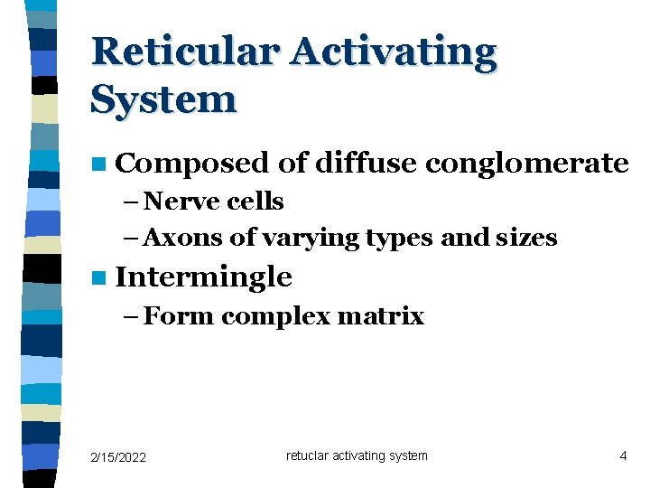 Reticular Activating System n Composed of diffuse conglomerate – Nerve cells – Axons of