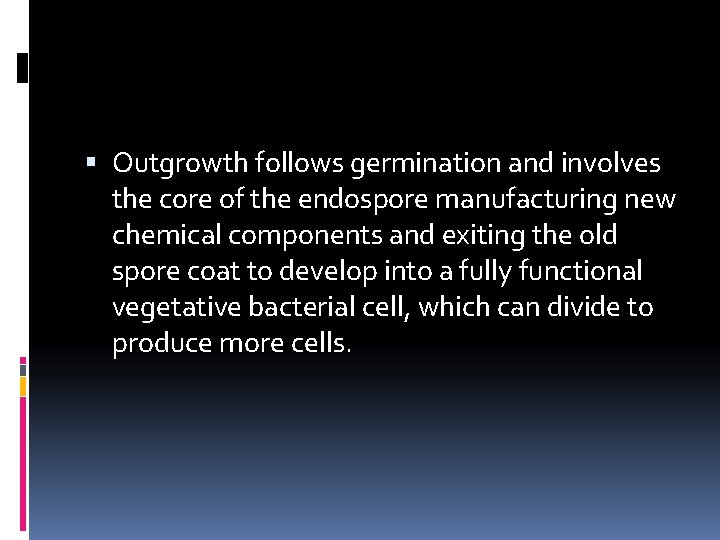  Outgrowth follows germination and involves the core of the endospore manufacturing new chemical