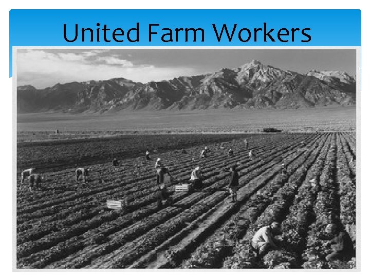 United Farm Workers 7 