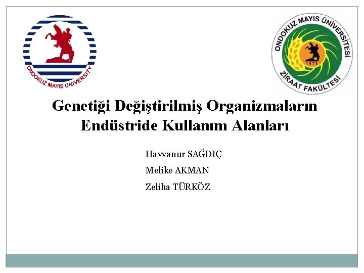 Genetiği Değiştirilmiş Organizmaların Endüstride Kullanım Alanları Havvanur SAĞDIÇ Melike AKMAN Zeliha TÜRKÖZ 