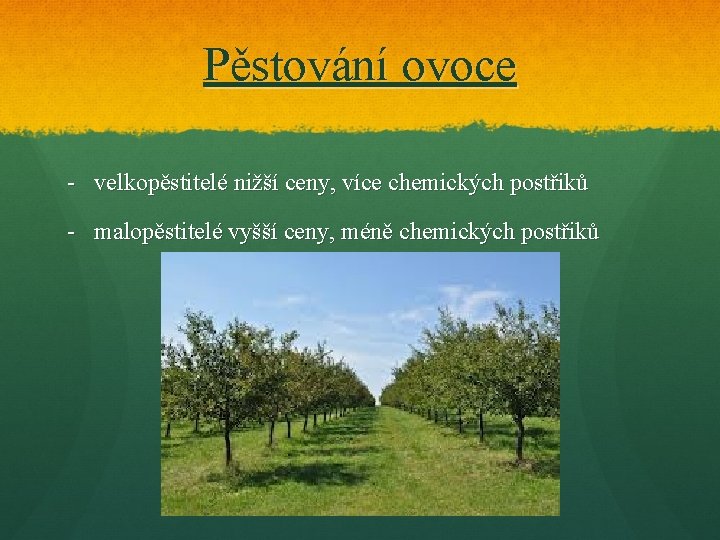 Pěstování ovoce - velkopěstitelé nižší ceny, více chemických postřiků - malopěstitelé vyšší ceny, méně