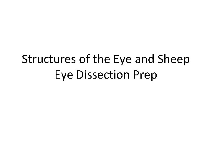 Structures of the Eye and Sheep Eye Dissection Prep Structures of the Eye and Sheep Eye Dissection Prep