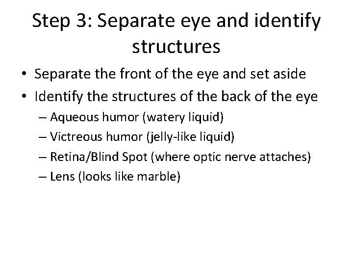Step 3: Separate eye and identify structures • Separate the front of the eye Step 3: Separate eye and identify structures • Separate the front of the eye