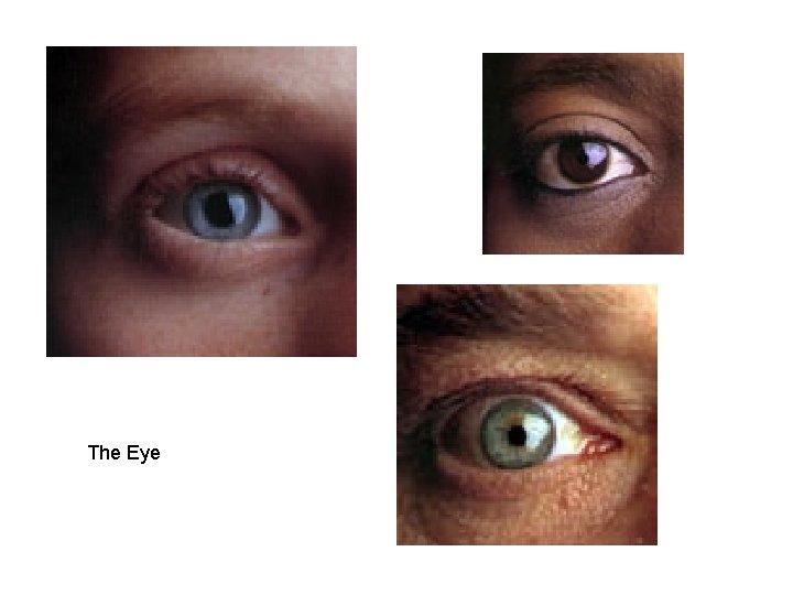The Eye The Eye