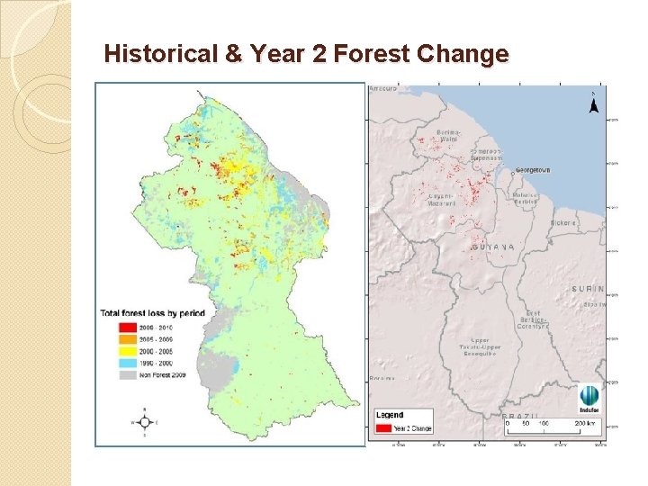 Historical & Year 2 Forest Change 