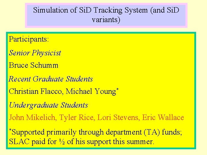 Simulation of Si. D Tracking System (and Si. D variants) Participants: Senior Physicist Bruce