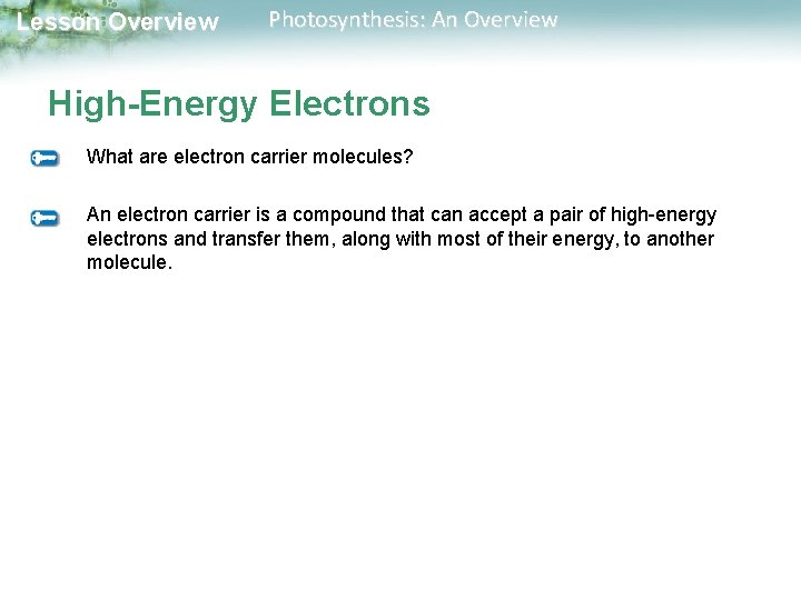 Lesson Overview Photosynthesis: An Overview High-Energy Electrons What are electron carrier molecules? An electron