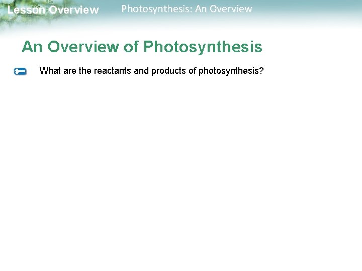 Lesson Overview Photosynthesis: An Overview of Photosynthesis What are the reactants and products of