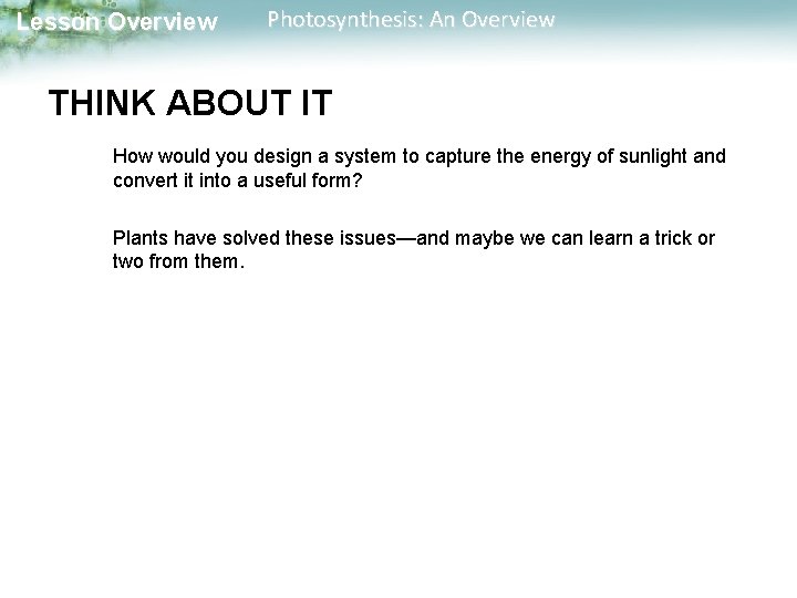 Lesson Overview Photosynthesis: An Overview THINK ABOUT IT How would you design a system