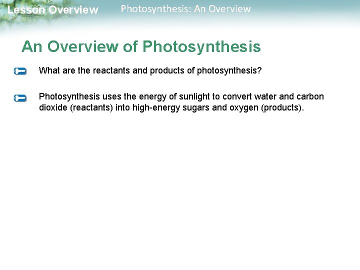 Lesson Overview Photosynthesis: An Overview of Photosynthesis What are the reactants and products of