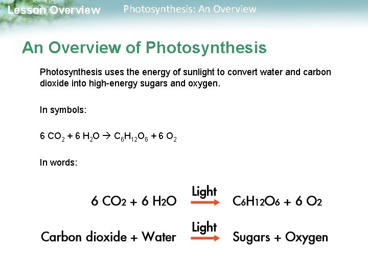 Lesson Overview Photosynthesis: An Overview of Photosynthesis uses the energy of sunlight to convert