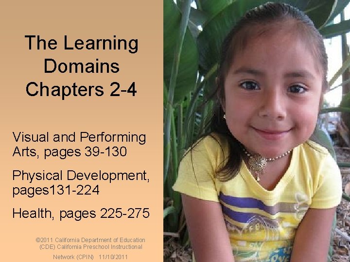 21 The Learning Domains Chapters 2 -4 Visual and Performing Arts, pages 39 -130