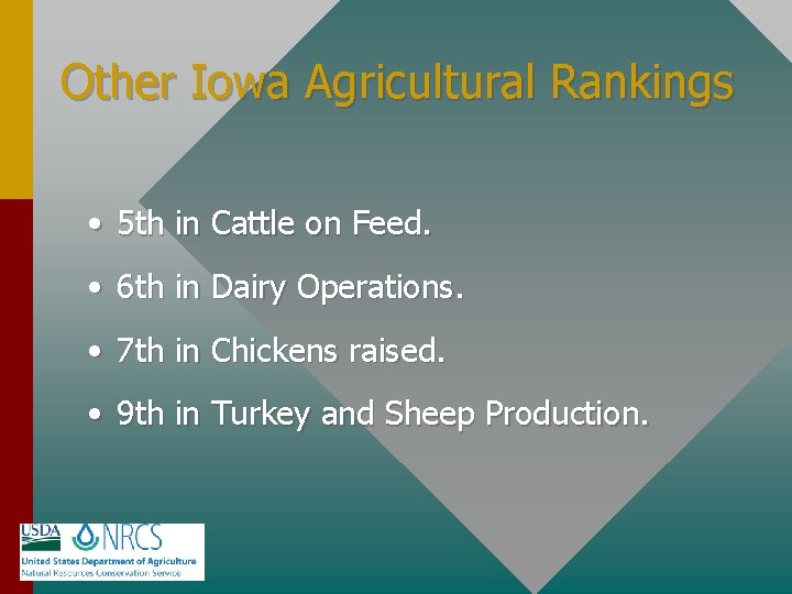 Other Iowa Agricultural Rankings • 5 th in Cattle on Feed. • 6 th