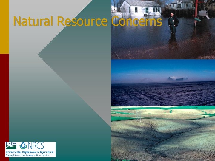Natural Resource Concerns TIP State your points clearly and with confidence. 