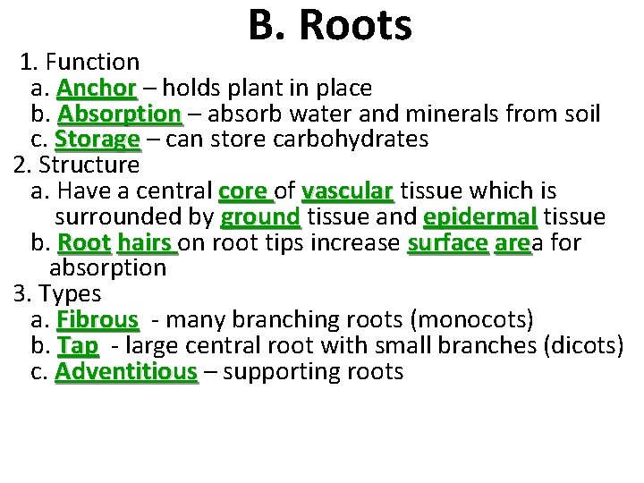 B. Roots 1. Function a. Anchor – holds plant in place b. Absorption –