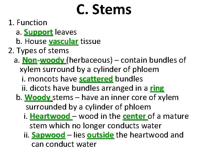 C. Stems 1. Function a. Support leaves b. House vascular tissue 2. Types of