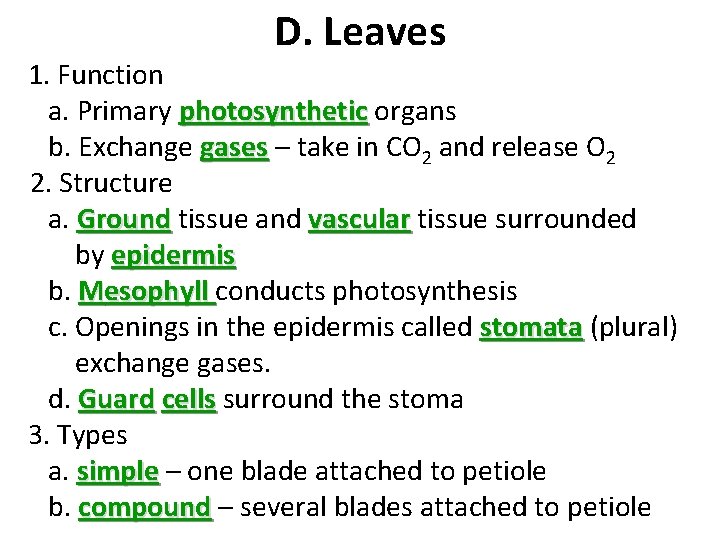 D. Leaves 1. Function a. Primary photosynthetic organs b. Exchange gases – take in