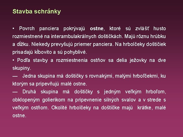 Stavba schránky • Povrch panciera pokrývajú ostne, ktoré sú zvlášť husto rozmiestnené na interambulakrálnych