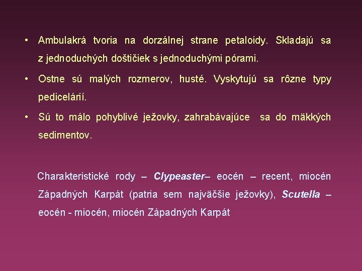  • Ambulakrá tvoria na dorzálnej strane petaloidy. Skladajú sa z jednoduchých doštičiek s