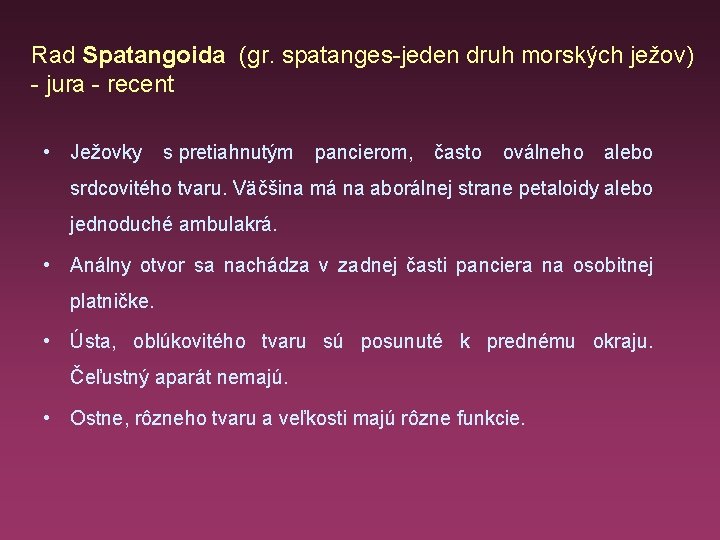 Rad Spatangoida (gr. spatanges-jeden druh morských ježov) - jura - recent • Ježovky s