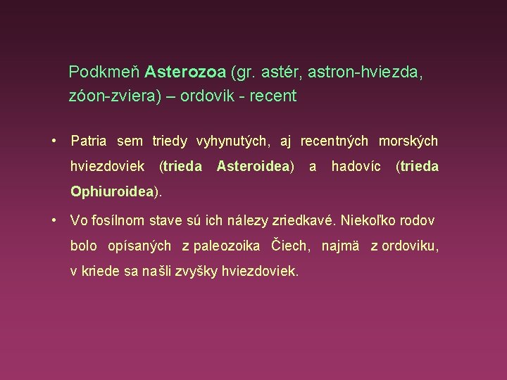 Podkmeň Asterozoa (gr. astér, astron-hviezda, zóon-zviera) – ordovik - recent • Patria sem triedy