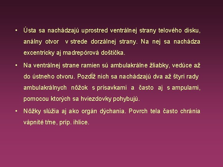  • Ústa sa nachádzajú uprostred ventrálnej strany telového disku, análny otvor v strede