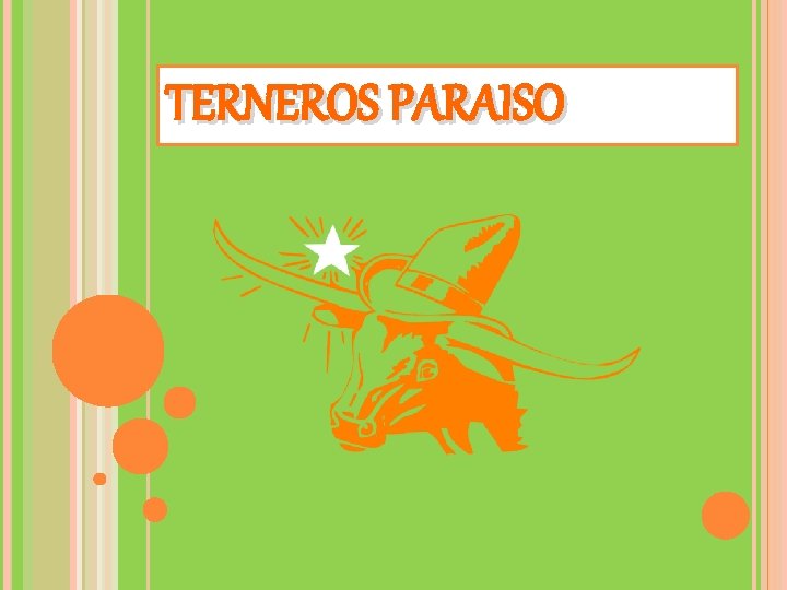 TERNEROS PARAISO 