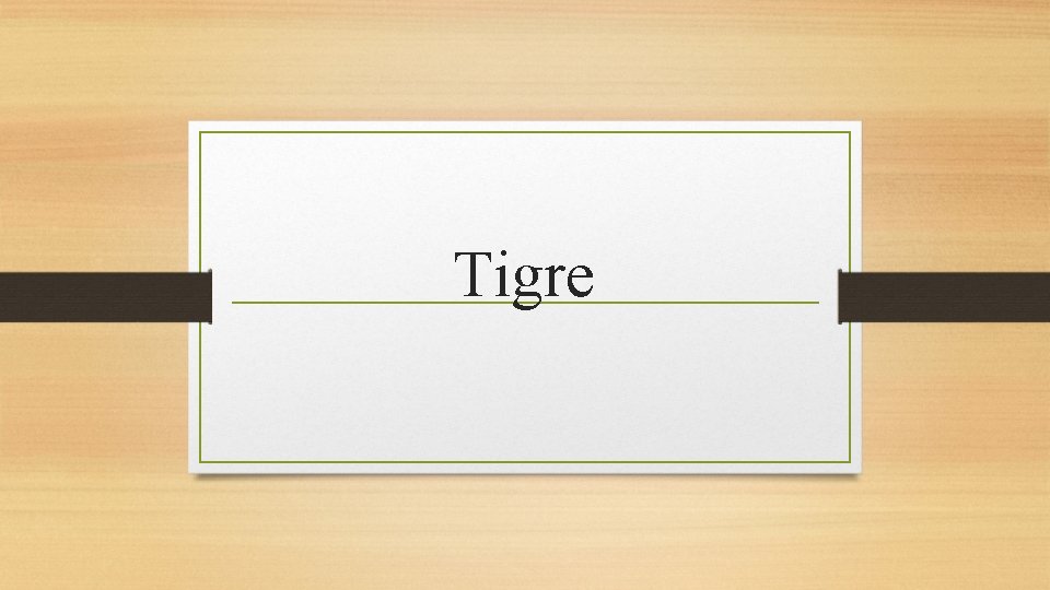 Tigre 