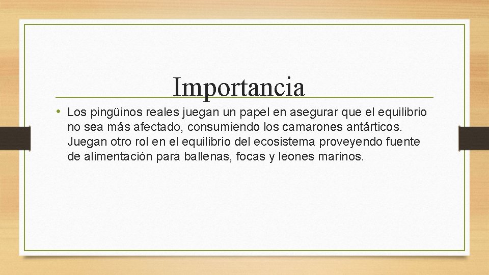 Importancia • Los pingüinos reales juegan un papel en asegurar que el equilibrio no