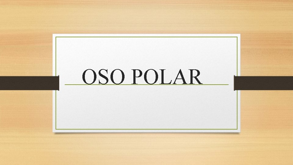 OSO POLAR 