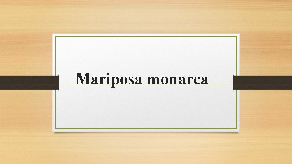 Mariposa monarca 