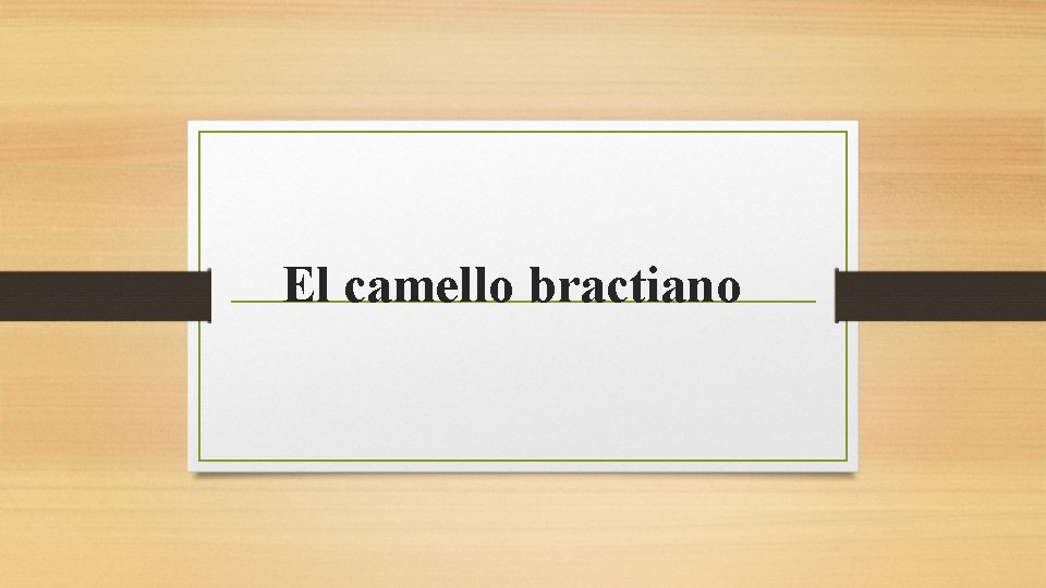 El camello bractiano 