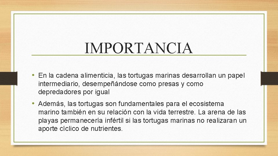 IMPORTANCIA • En la cadena alimenticia, las tortugas marinas desarrollan un papel intermediario, desempeñándose