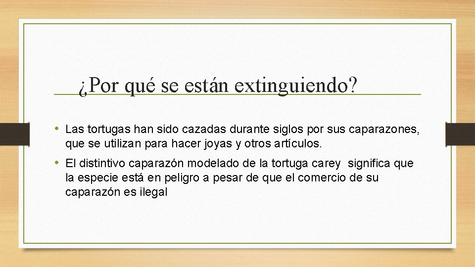 ¿Por qué se están extinguiendo? • Las tortugas han sido cazadas durante siglos por