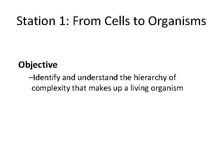 Station 1: From Cells to Organisms Objective –Identify and understand the hierarchy of complexity