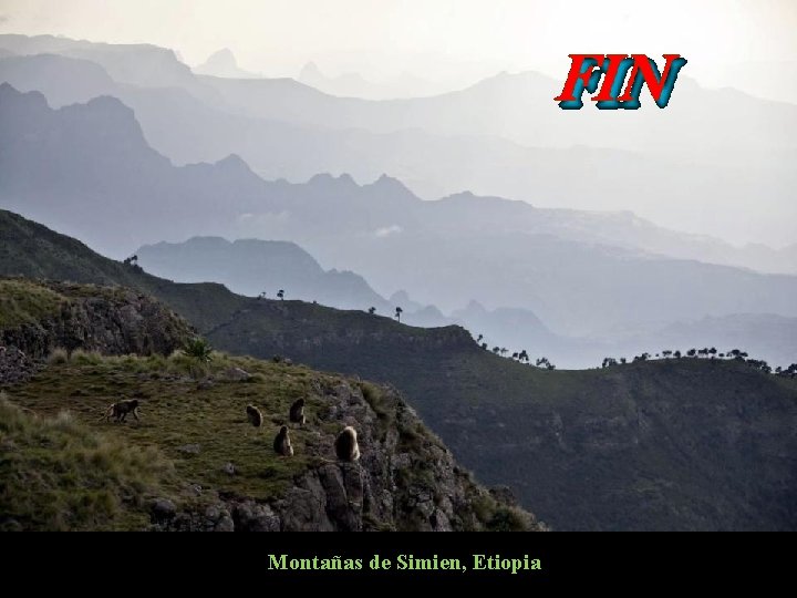 Montañas de Simien, Etiopia 