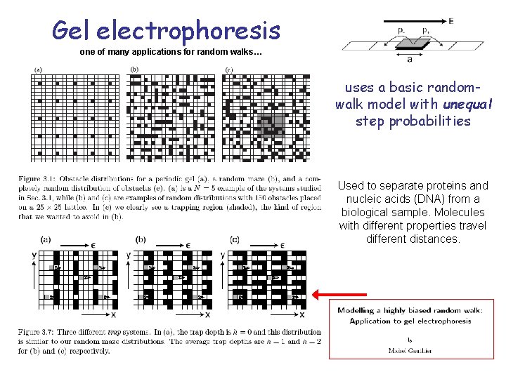 Gel electrophoresis one of many applications for random walks… uses a basic randomwalk model