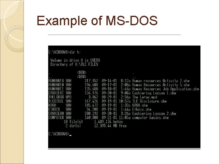 Example of MS-DOS 