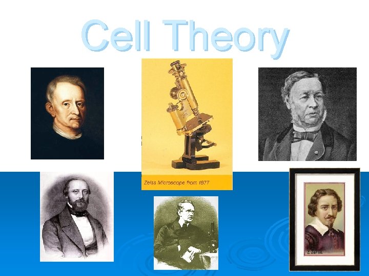 Cell Theory 