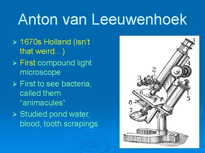 Anton van Leeuwenhoek 1670 s Holland (isn’t that weird…) Ø First compound light microscope