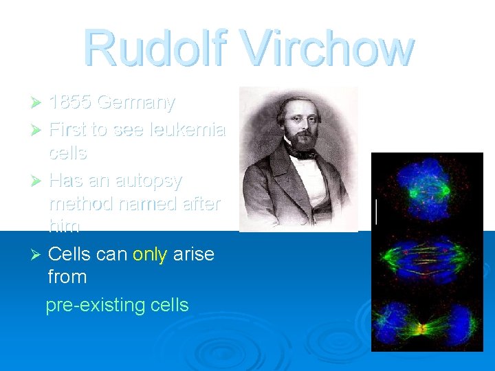 Rudolf Virchow 1855 Germany Ø First to see leukemia cells Ø Has an autopsy