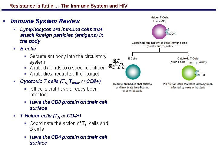 Resistance is futile … The Immune System and HIV § Immune System Review §