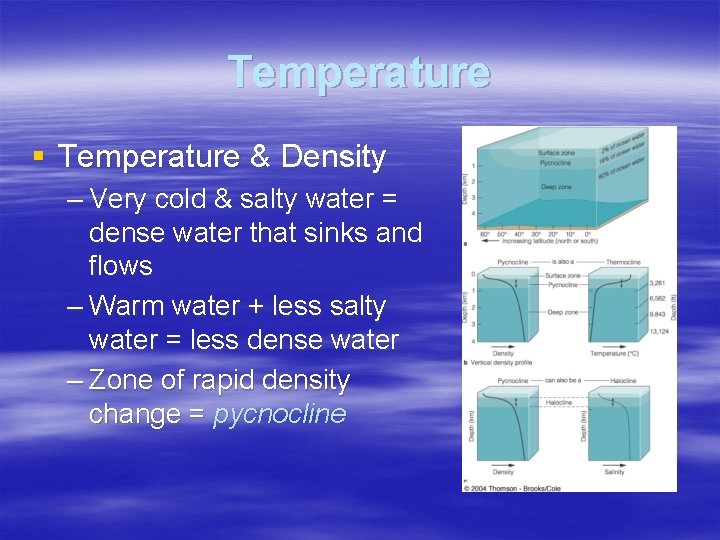 Temperature § Temperature & Density – Very cold & salty water = dense water