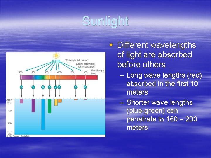 Sunlight § Different wavelengths of light are absorbed before others – Long wave lengths