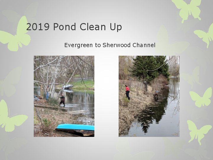 2019 Pond Clean Up Evergreen to Sherwood Channel 