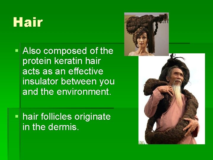 Hair § Also composed of the protein keratin hair acts as an effective insulator